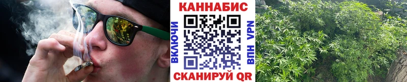 закладки  Болгар  Каннабис семена 
